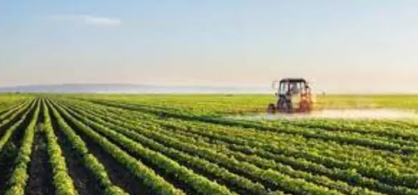 1617994482590163.png image.png