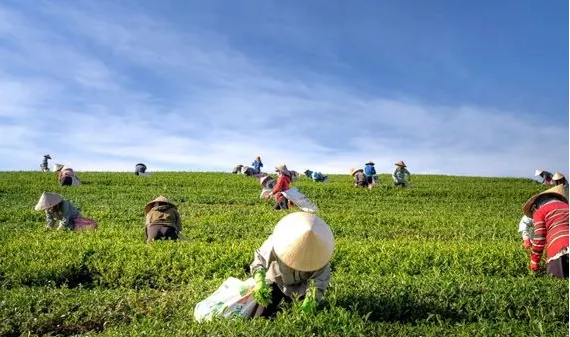 1617994535344040.png image.png